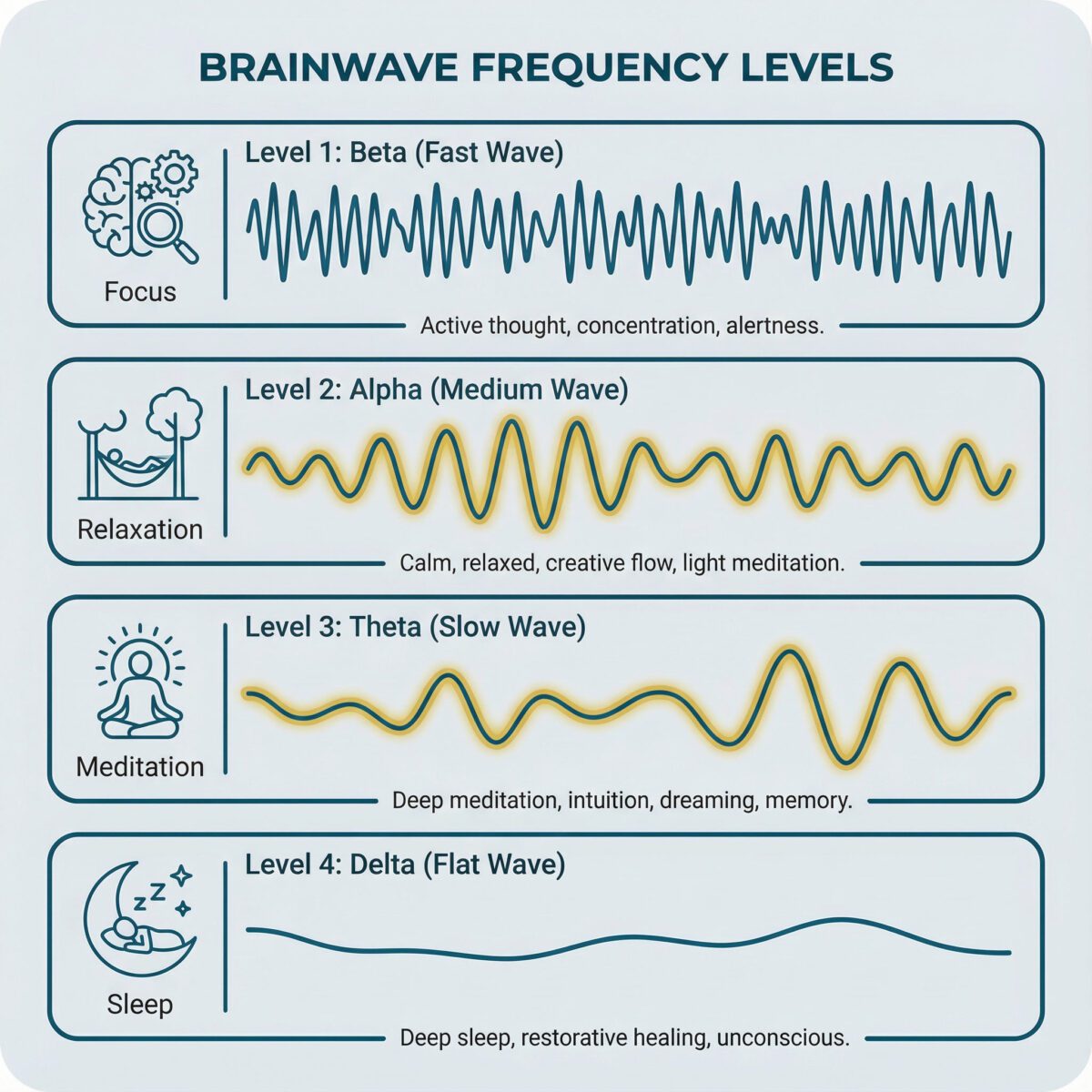 Infographic chart showing four brainwave states from Beta to Delta, visualized as waves with decreasing frequency, using deep teal and gold brand colors.