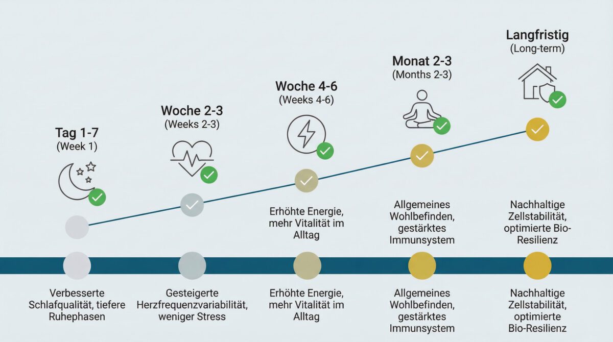 Zeitleiste der typischen Wirkungen des Qi-Home Cell über 3 Monate Nutzung
