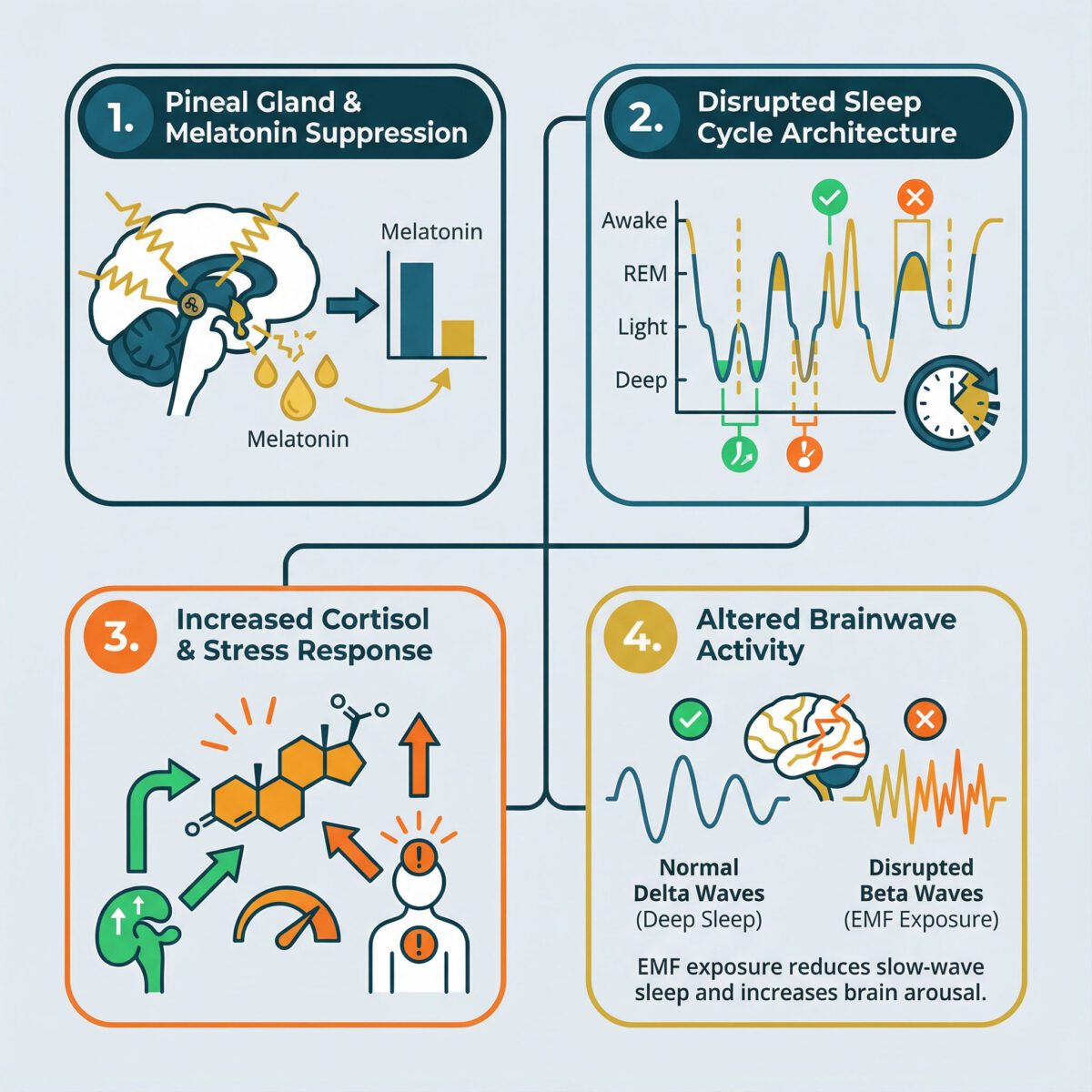 Infographic showing four scientific mechanisms of how EMF disrupts sleep: melatonin suppression, disrupted sleep architecture, increased cortisol, and abnormal brainwave patterns