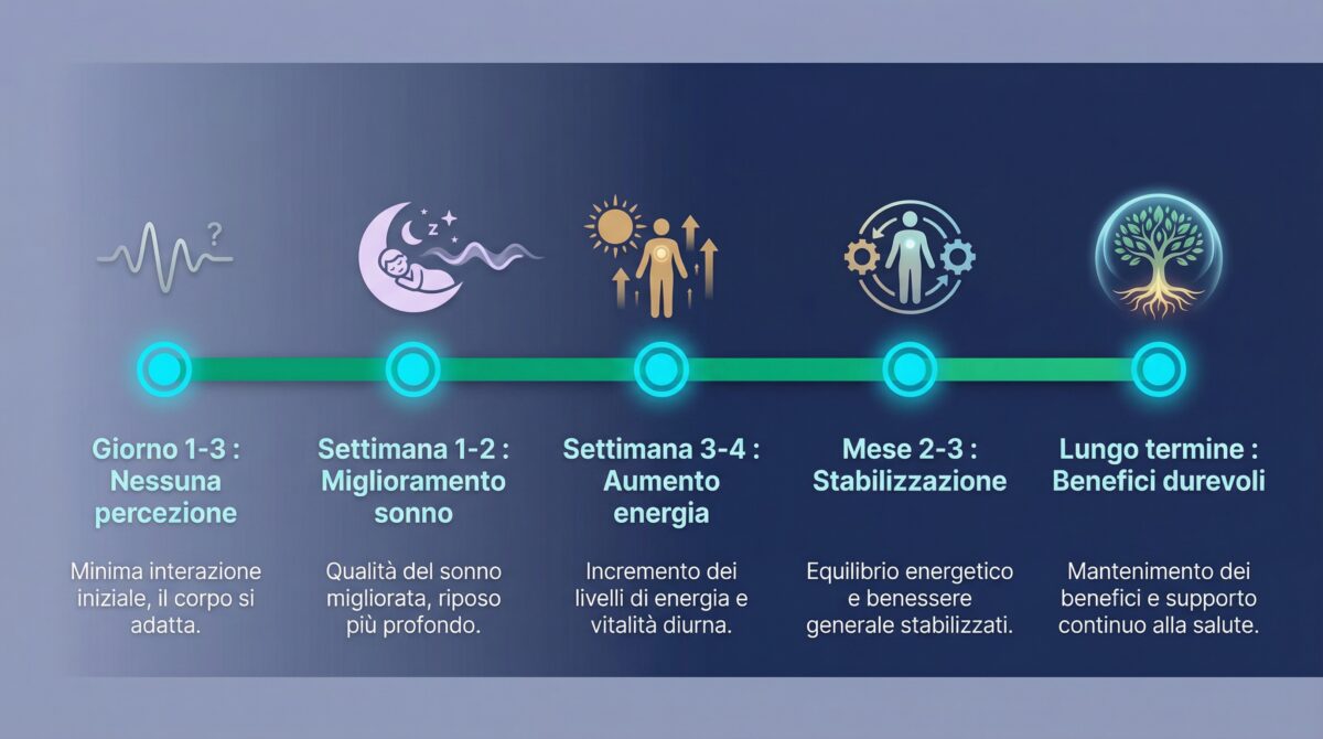 Cronologia degli effetti del Somavedic: dall'installazione ai benefici a lungo termine su diversi mesi