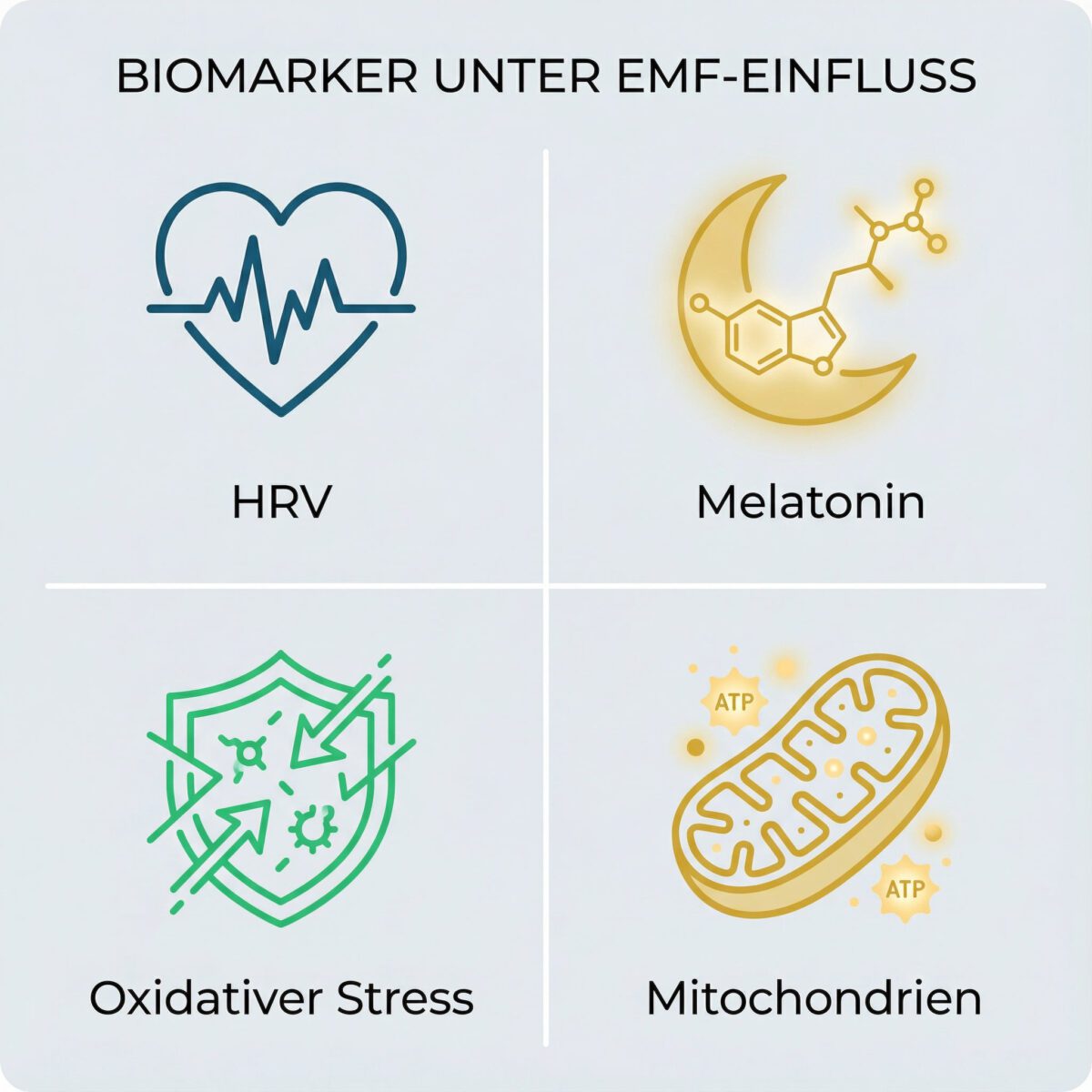 Infografik zeigt vier Biomarker die durch EMF-Strahlung beeinflusst werden: HRV, Melatonin, oxidativer Stress und Mitochondrien