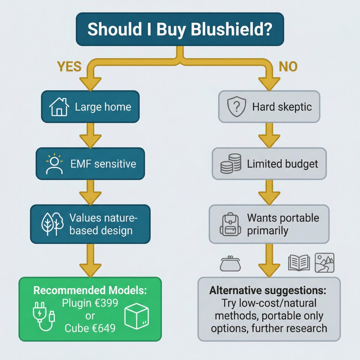 Decision flowchart helping readers determine if Blushield is right for them based on needs and budget