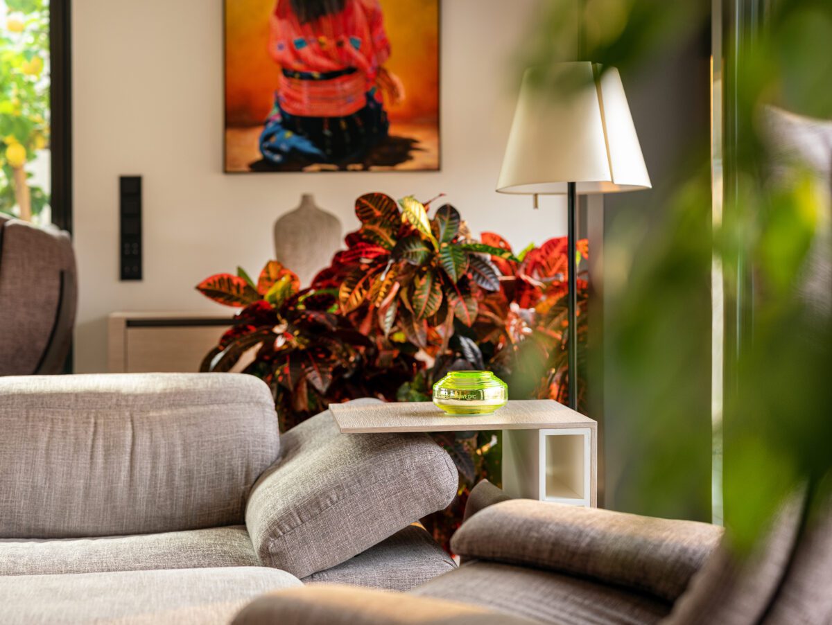 Somavedic Vedic device in a cozy living room with plants